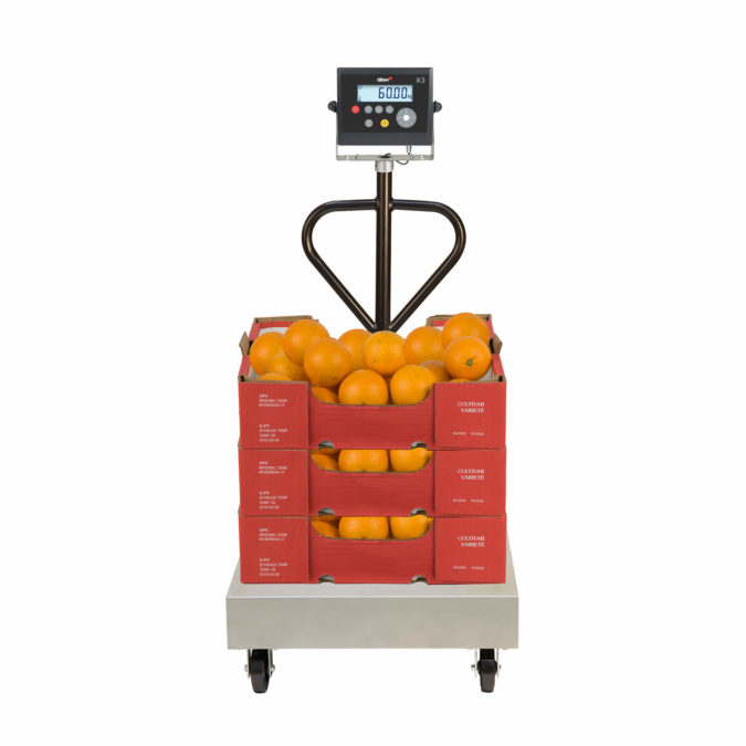 Mobile Weighing station allows you to carry around your scale around the warehouse to wherever weighing is needed